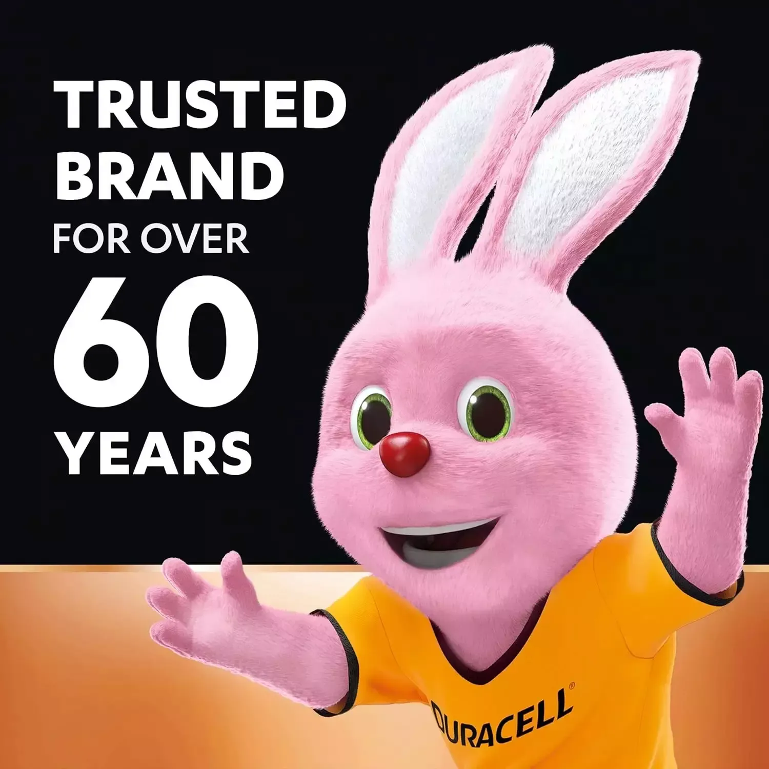Duracell AA Alkaline Battery (Pack of 12) view 3